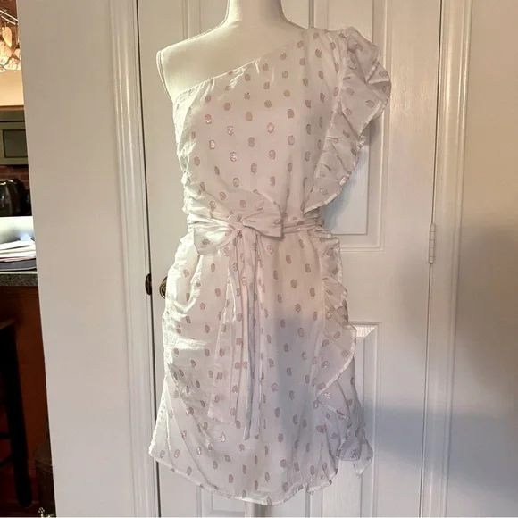 “LOVERS + FRIENDS” X Revolve Whitney Rose Dress - Picture 6 of 16